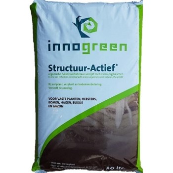 Structuur Actief
